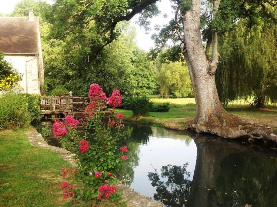 Villa Le Foulon - Moulin De Charme - 1 Heure 30 De Paris Saint-Hilaire-les-Andresis Exterior foto